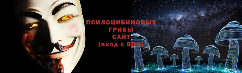 Псилоцибиновые грибы Magic Shrooms  Ижевск 